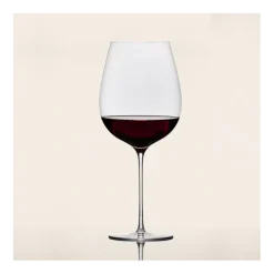 Sydonios le Méridional rode wijnglas 830 ml mondgeblazen glas 2 stuks