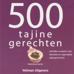 500 Tajinegerechten
