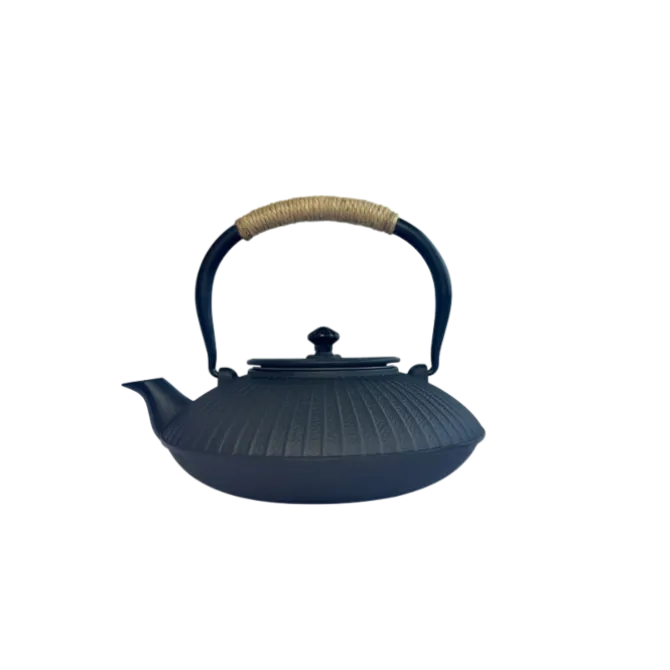 1821 theepot 1,2 liter gietijzer Black
