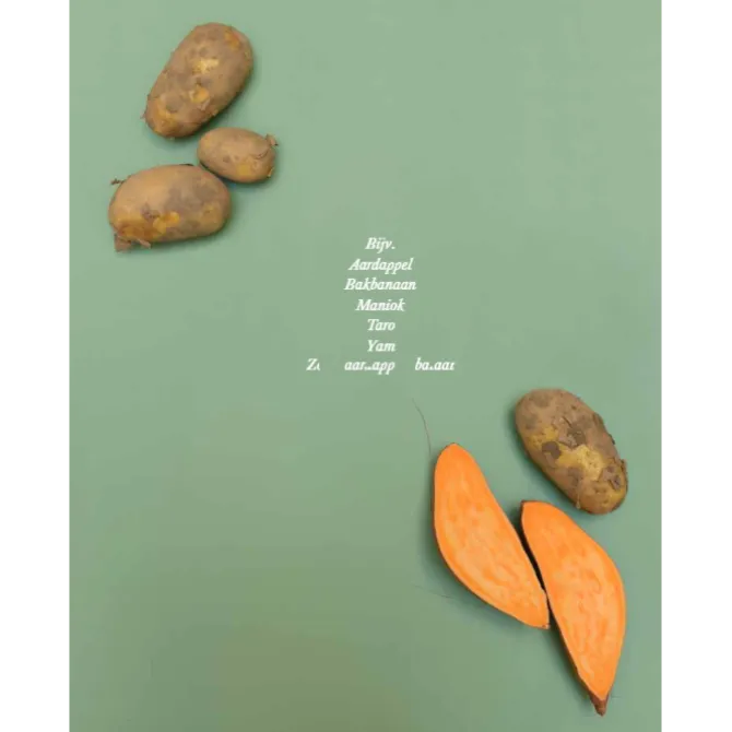 Vegan voor altijd