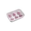 Westmark Crystal ijsblokjesvorm met deksel voor 6 ijsblokjes silicone wit
