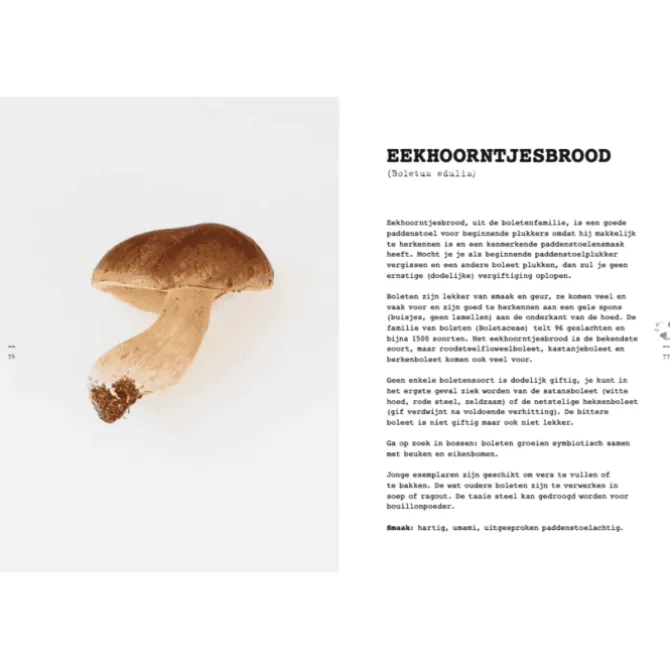 Wildoogst