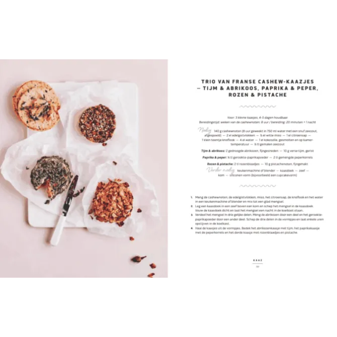 50x vegan zuivel : van havercappuccino tot cashewparmezaan