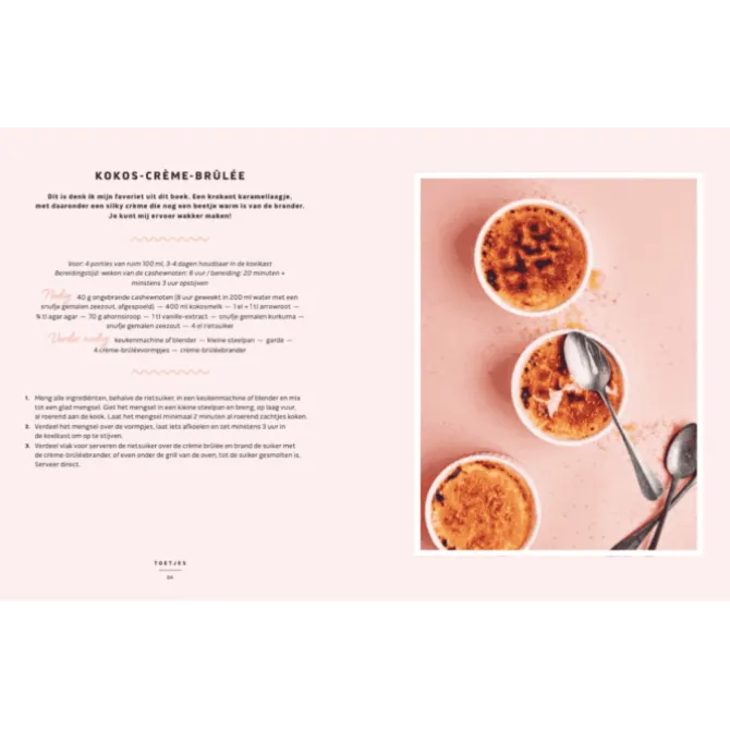 50x vegan zuivel : van havercappuccino tot cashewparmezaan