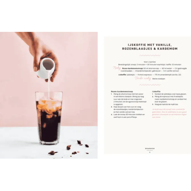 50x vegan zuivel : van havercappuccino tot cashewparmezaan