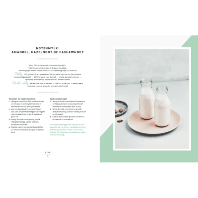 50x vegan zuivel : van havercappuccino tot cashewparmezaan