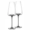 Zieher Vision Rich wijnglas 280 ml kristalglas 2-delig