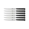 Zwilling steakmessenset by Matteo Thun 6-delig